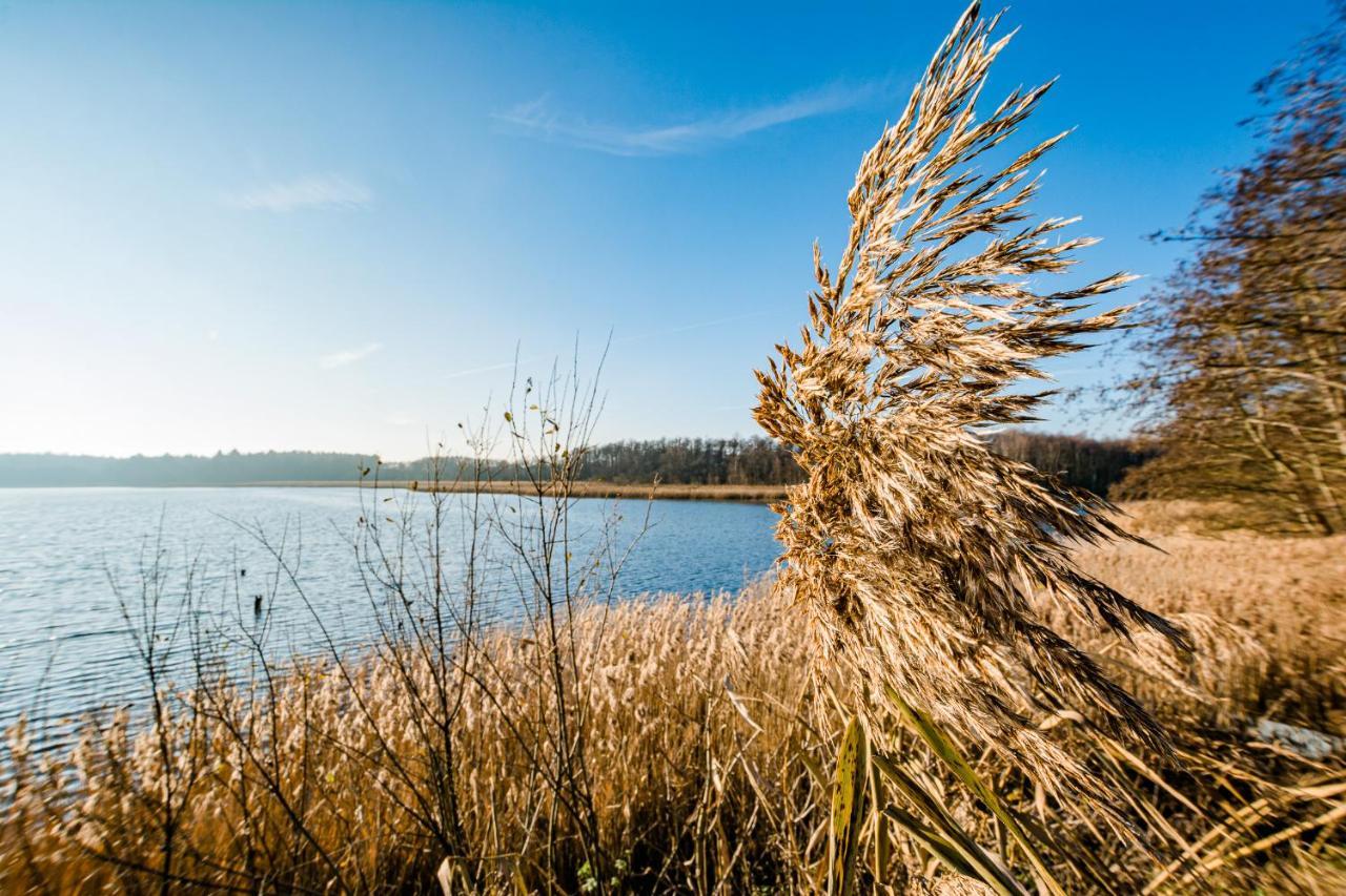 קרקוב אם זיי 5 Sterne Ferienhaus Direkt Am See Mit Sauna-Kamin-Garten מראה חיצוני תמונה